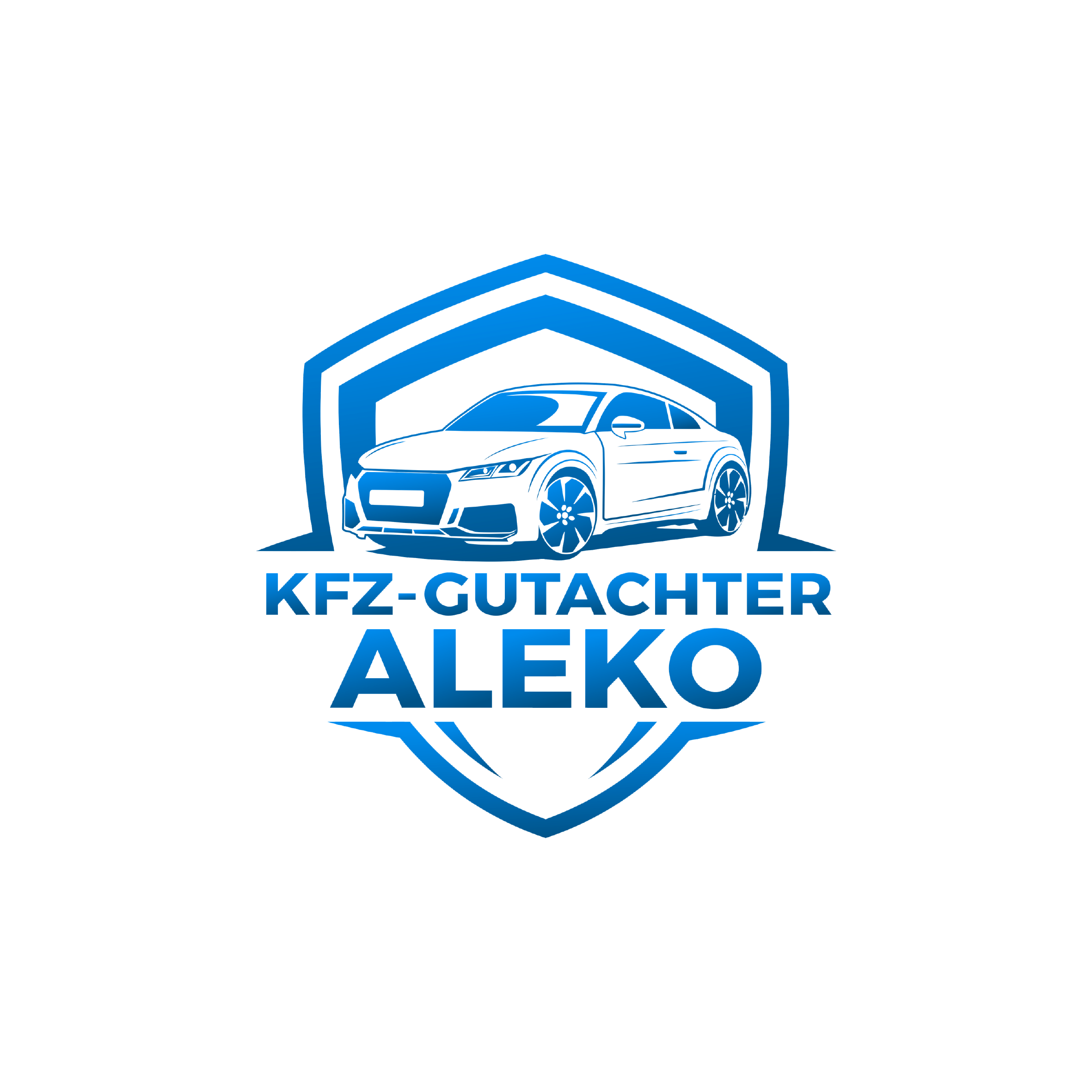 ALEKO Logo